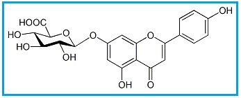 Apigenin 7-Glucuronide